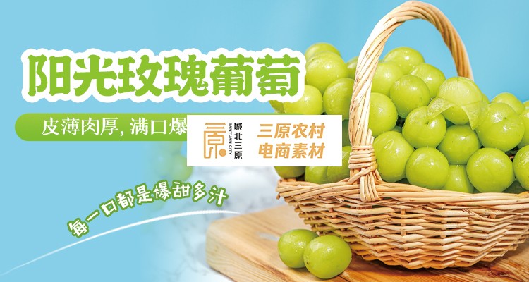 阳光玫瑰 阳光玫瑰