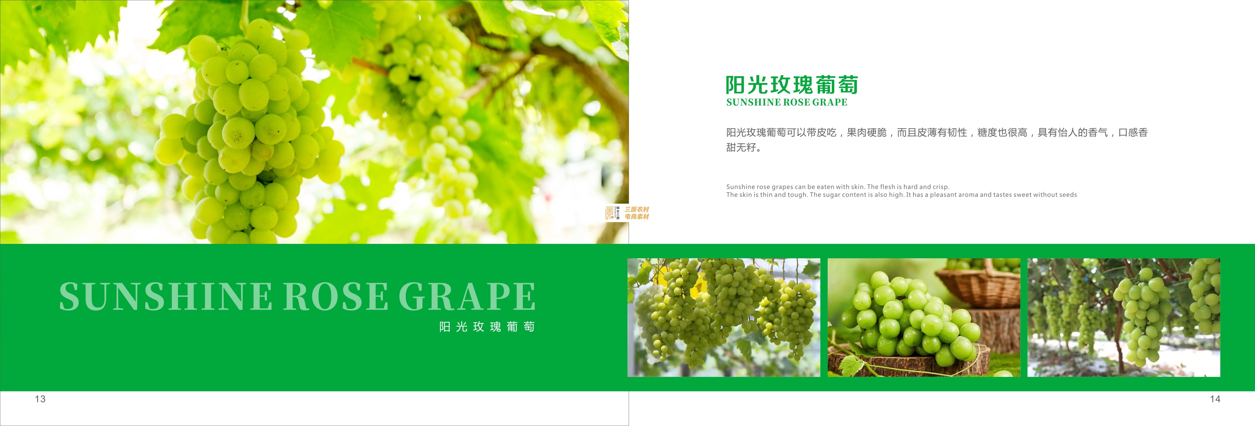 阳光玫瑰 阳光玫瑰